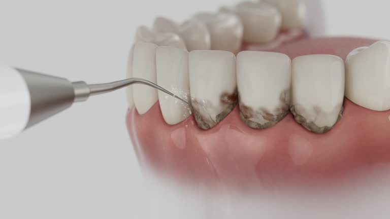 Reliable Dental contractor in La Vale, MD by Dentist Open Now